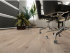 My Floor Chalet Дуб Аполлон M1015