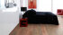 Pergo Original Excellence Classic Plank: LO201 Дуб Кашемир, 2-х полосный L0201-01798